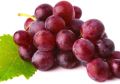 Fresh Red Grapes