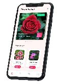 On Demand Flower Delivery App Development