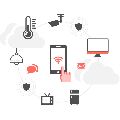 IoT Security Testing Services
