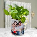 Elegant Selection of Money Plant in a Personalized Coffee Mug