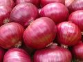 fresh red onion