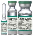 Tetanus Toxoid Vaccine