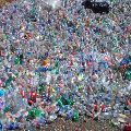 Recycled Pet Bottle Scrap