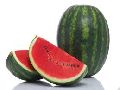 Fresh Oval Watermelon