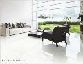 600x600mm AGL Double Charged Vitrified Tiles