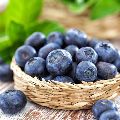 Blueberry Seed Oil