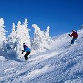 Skiing in Manali Tour Packages