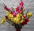 Mix Gladiolus Bouquet