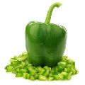 Fresh Bell Pepper