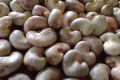 raw cashew nuts