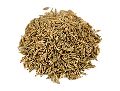 Brown Cumin Seeds