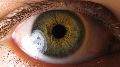 Eyes Stem Cell Treatment Services