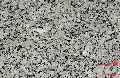 Coral Grey Granite Slab