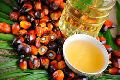 Natural Palm Oil