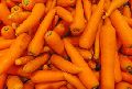 Fresh Carrot