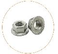 Stainless Steel Grey Flange Nut