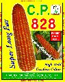 C.P. 828 Hybrid Maize Seeds
