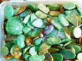 Wholesale Natural Top Quality Ruby Fuchsite Gemstone