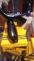 Party Wear Black Leather Shoes