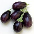 Fresh Eggplant