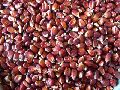 Red Maize Seeds