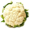 fresh organic cauliflower