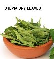 stevia leaf