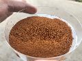 spray dried instant chicory powder