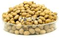Soy Nuts (Roasted Soybean)