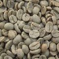 Mysore Nugget Arabica Coffee Beans
