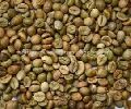 Unwashed Robusta Coffee Beans