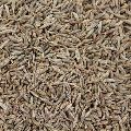 Natural Cumin Seeds