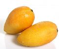 fresh mango