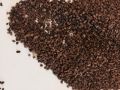 Brown Dark Brown roasted chicory granules
