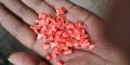 Red PP Granules