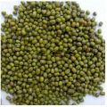 Common Healthy Harvest Whole Green Moong Dal