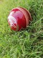 S.A cricket leather ball
