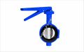 Blue Manual PN - 10 / 16 Aquaflow cast iron wafer type butterfly valve