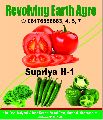 Organic SUPRIYA Tomato Seeds