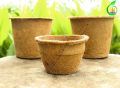 Coir Pot