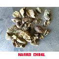 Harad Chhal