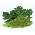 Papaya Leaf Powder