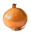 Pusa Red Fursungi Onion Seeds