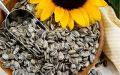 sunflower seeds