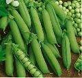 vegetable green peas