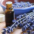 Kashmiri Lavender Essential Oil