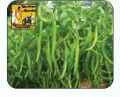 F1 Nargis 1151 Green Chilli Seeds