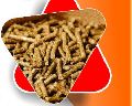 Biomass wood pellet