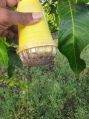 New Malhar Agro Yellow melon fly trap