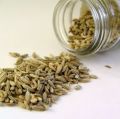 European Quality Fennel Seeds